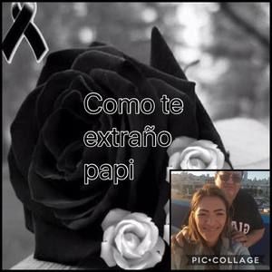 Meet your Posher, Aracely